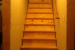 Downs basement before 8